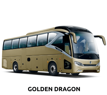 Brand NewThumbnail Golden Dragon